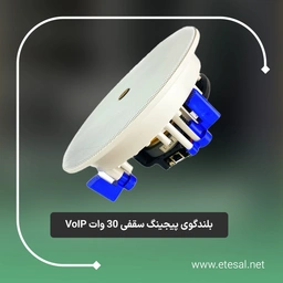بلندگو 30 وات سقفی تحت شبکه مدل CT-C1011