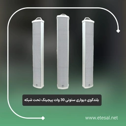 بلندگو ستونی تحت شبکه